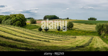 View over the hills at the Belgian countryside in the Pajottenland around Gooik Stock Photo