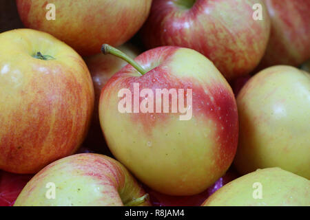 fresh red apples Stock Photo