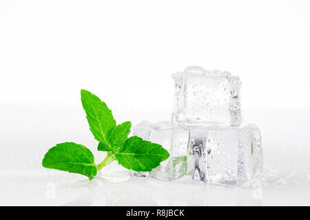 Ice cubes with mint leaves on white background Stock Photo