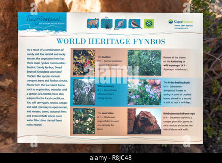TRUITJIESKRAAL, SOUTH AFRICA, AUGUST 24, 2018: A fynbos information board at Truitjieskraal in the Cederberg Mountains of the Western Cape Province Stock Photo