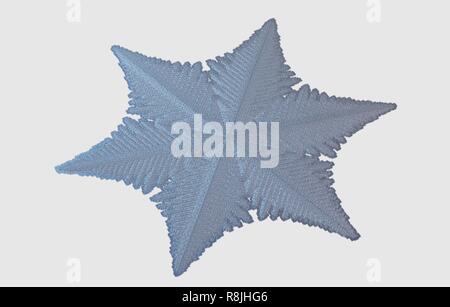 White snowflake on black background. This illustration based on macro photo of real snow crystal: large stellar dendrite with fine hexagonal symmetry, Stock Photo