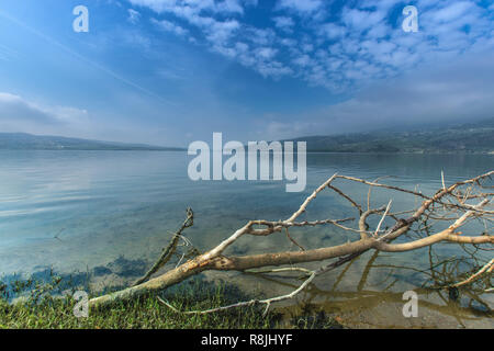 beautiful view over the lake in foggy morning,algeria