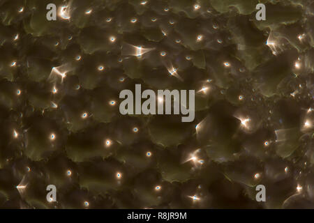 Macro photo. Abstract aqua pattern as background. Dark image. Colored twisted reflections of yellow lights in drops of water on the glass. Stock Photo