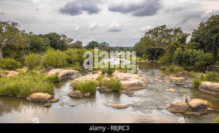 Panorama of Sabie river crossing near Skukuza camp in Kruger national park South Africa Stock Photo