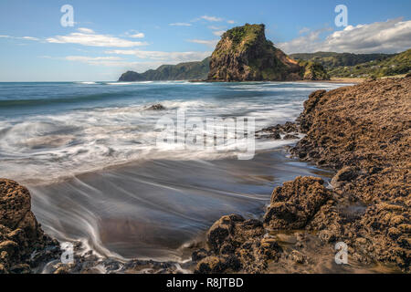 Piha Beach, Auckland, Lion Rock, North Island, New Zealand Stock Photo
