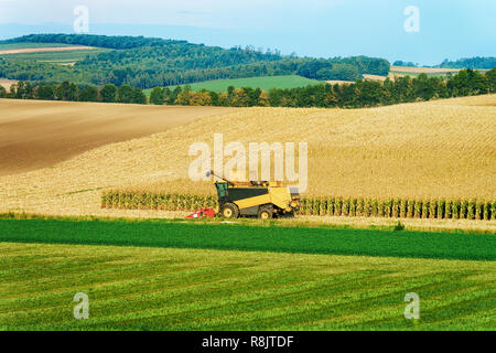Combine doing agricultural harvesting work at field. Stock Photo