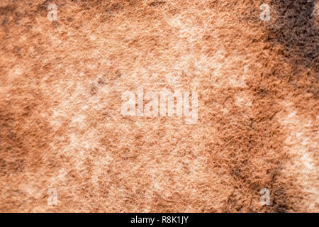 Light brown wool texture for background Stock Photo