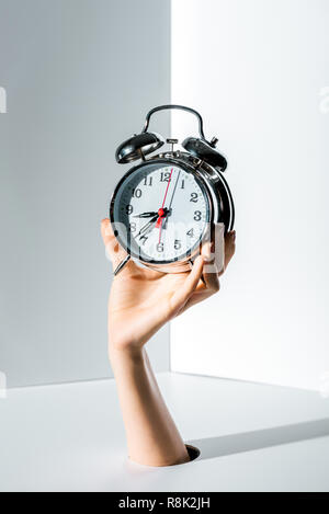 cropped image of woman holding retro styled alarm clock in hand through hole on white Stock Photo
