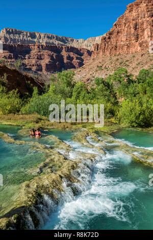 United States, Arizona, Grand Canyon National Park, Indian Reservation of Havasupai, famous for its 5 turquoise -blue waterfalls Stock Photo