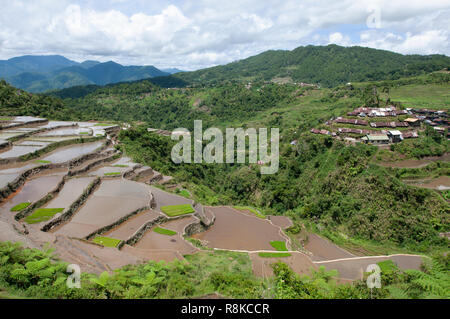 Maligcong Rice Terraces, Bontoc, Mountain Province, Philippines, Asia Stock Photo