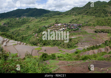 Maligcong Rice Terraces, Bontoc, Mountain Province, Philippines, Asia Stock Photo