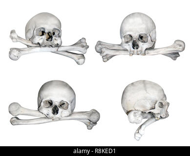 Human skulls and bones. Isolated over white Stock Photo