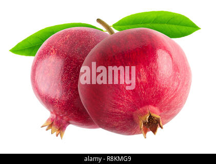 Two pomegranates on a bransh isolated on white background with clipping path Stock Photo