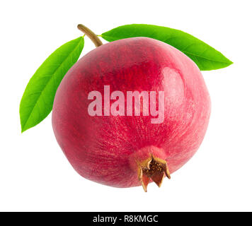 Isolated pomegranate. One pomegranate fruit on a branch with leaves isolated on white background with clipping path Stock Photo