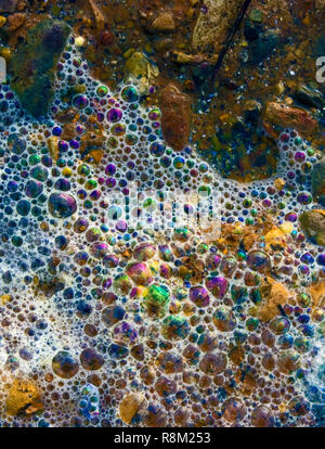 Tidal water flowing over a rocky coast produces attractive bubbles as a result of refracted sunlight. Stock Photo