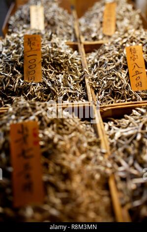 Japan, Tokyo, Tsukjii fish market, sale of dried fish Stock Photo