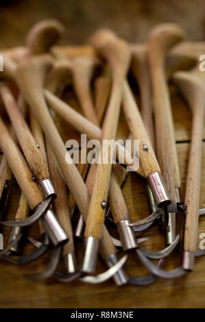 Japan, Tokyo, Tsukjii fish market, tool for moving big fish Stock Photo