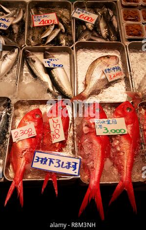 Japan, Tokyo, Tsukjii fish market, various displays Stock Photo