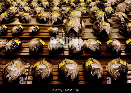 Japan, Tokyo, Tsukjii fish market, tuna display Stock Photo