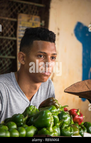 young Latin man serving on vegetable market  stall in Havana Cuba Stock Photo