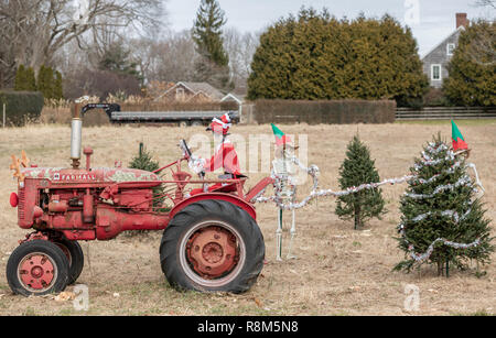 Three skeletons, one dressed as Santa and driving an old red tractor and two others dressed as elfs decorating Christmas trees in a field. Stock Photo