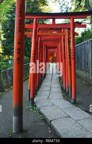 Nezu Shrine, a shinto shrine in Tokyo, Japan Stock Photo