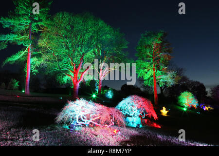 Glow 2018, Alpine Meadow. RHS Garden Wisley, Woking, Surrey, England, UK, Europe. Stock Photo