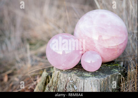 2 rose quartz crystal balls in different sizes laying on a tree in the forest Stock Photo