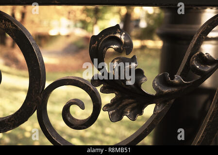 The park is visible through an iron forged fence. Forged fence closeup. There are scuffs and scratches on the metal. Russia, Moscow Stock Photo