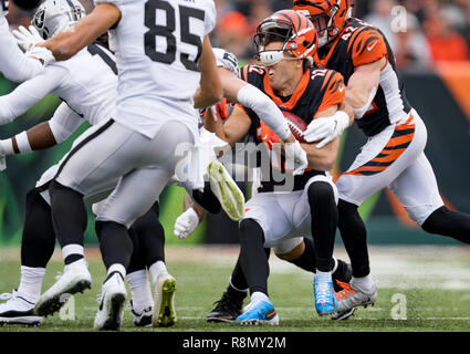 Cincinnati Bengals defensive end B.J. Hill (92) warms up before an NFL  football game against the Pittsburgh Steelers, Sunday, Sept. 26, 2021, in  Pittsburgh. (AP Photo/Justin Berl Stock Photo - Alamy