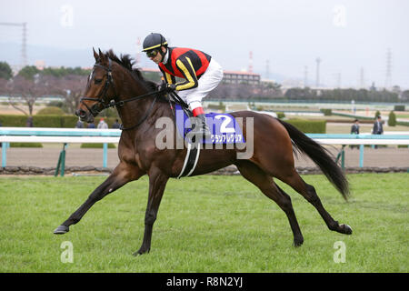 Hyogo, Japan. 16th Dec, 2018. Gran Alegria ( Christophe Lemaire) Horse Racing : Gran Alegria ridden by Christophe Lemaire before the Asahi Hai Futurity Stakes at Hanshin Racecourse in Hyogo, Japan . Credit: Eiichi Yamane/AFLO/Alamy Live News Stock Photo