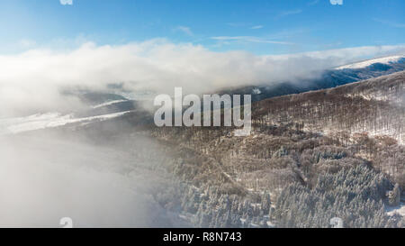 Flying above snowy winter misty mountain forest covered with snow . Top view, landscape with drifting fog through the trees in the morning. Stock Photo