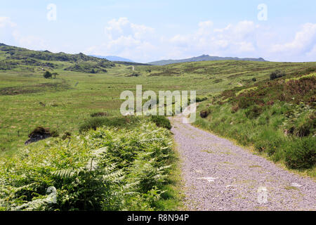 Old Kenmare Road, County Kerry, Ireland Stock Photo