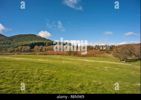 Distant view over fields of Invermark Lodge, Dalhousie Estate, Glen Esk, Scotland, UK on sunny day with blue skies. Stock Photo