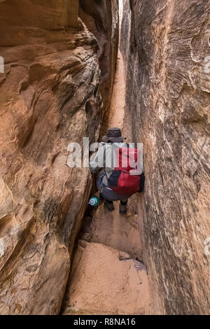 Karen Rentz squeezing through the Joint Trail along the Chesler Park Loop Trail in the Needles District of Canyonlands National Park, Utah, October, U Stock Photo