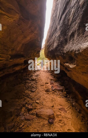 Karen Rentz squeezing through the Joint Trail along the Chesler Park Loop Trail in the Needles District of Canyonlands National Park, Utah, October, U Stock Photo