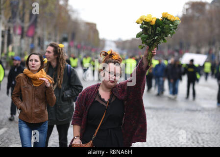 December 08, 2018 - Paris, France: A woman protests with yellow flowers on the Champs-Elysees avenue. Manifestation des Gilets Jaunes du 8 decembre a Paris, l'acte IV de leur mobilisation. *** FRANCE OUT / NO SALES TO FRENCH MEDIA *** Stock Photo