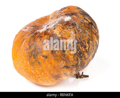 pumpkin with mold isolated on white background Stock Photo