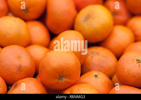 tangerines in the market as a background close-up. Selective focus Stock Photo