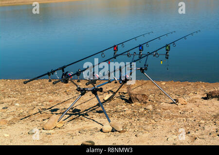 https://l450v.alamy.com/450v/r8nmw3/carp-fishing-rods-on-a-rod-pod-with-the-swingers-attached-ready-to-catch-some-fish-monster-r8nmw3.jpg