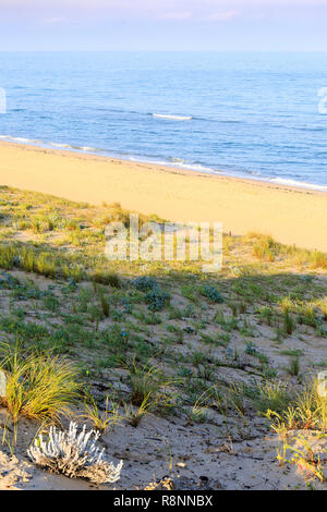 Plage de l'océan,  Cap Ferret, France Stock Photo