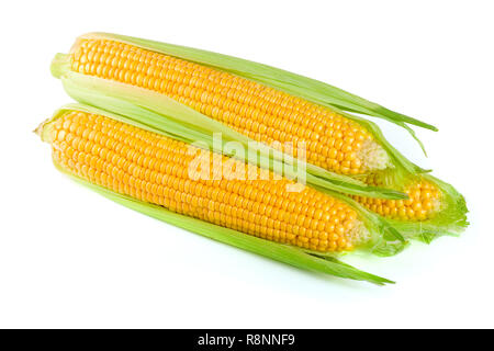 ear of corn isolated on a white background Stock Photo