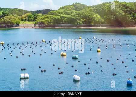 Pearl rows in the ocean, production and cultivation of pearls in the ocean. landscape and Pearl aqua farming cultivation Shima Japan. Stock Photo
