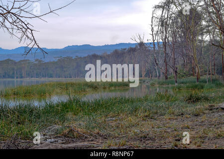 Camping at the shores of Lake Elementaita, Naivasha Stock Photo