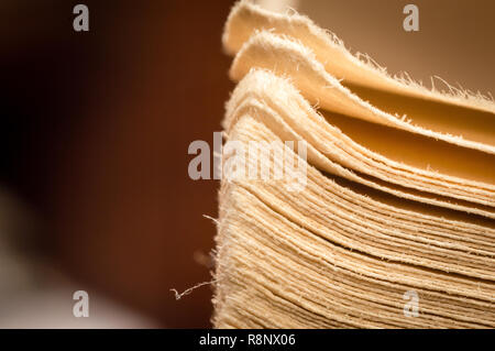close-up macro old vintage worn mottled edge photographed pages of an open book Stock Photo