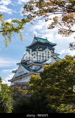 A vignette of trees through to a stunning view of Osaka Castle in Japan Stock Photo