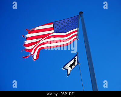 Torn US flag blowing in the wind. Stock Photo