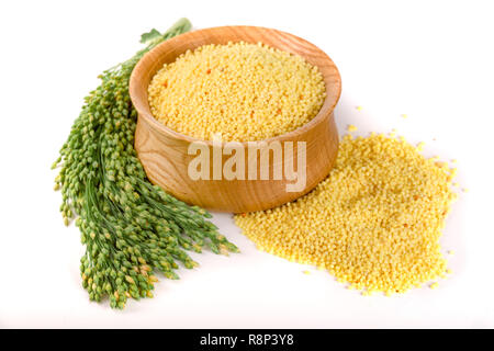 Millet in wooden bowl with green spikelets isolated on white background Stock Photo