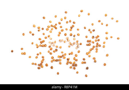 Yellow mustard seeds isolated on white background, top view Stock Photo