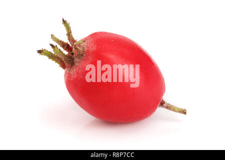 Hawthorn berry isolated on white background close-up Stock Photo